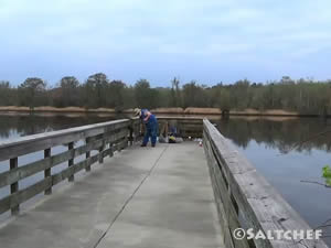 kings ferry community park pier near savannah